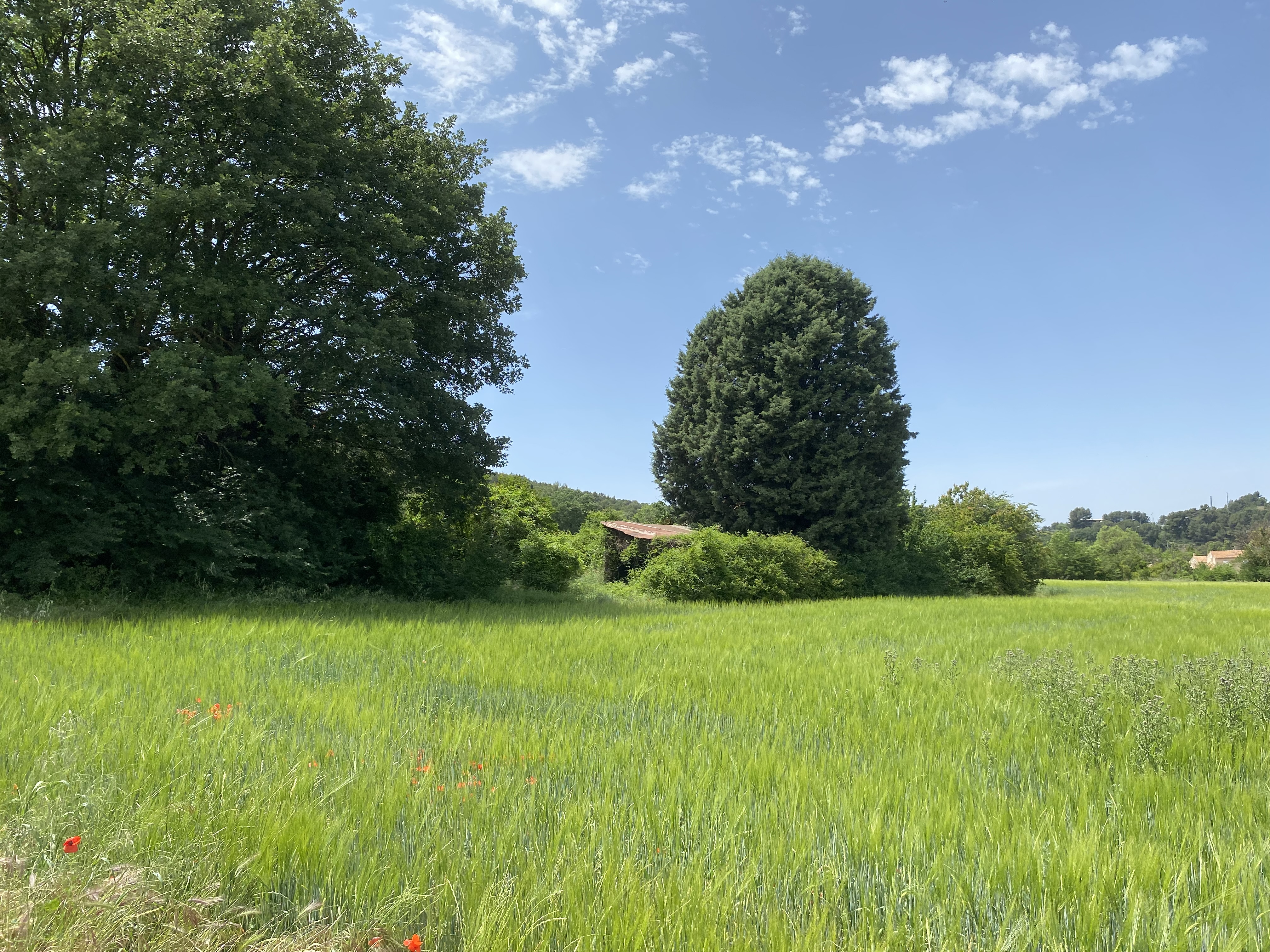 terrain-a-batir-aix-en-provence-nord