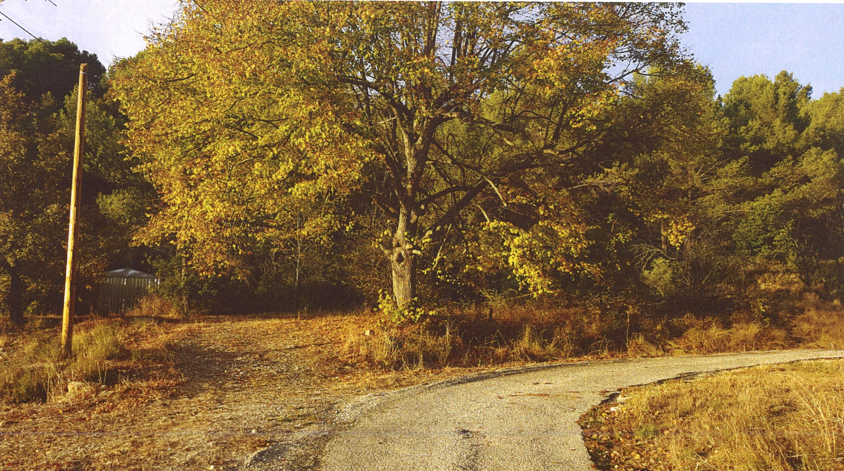 terrain-a-batir-saint-marc-jaumegarde